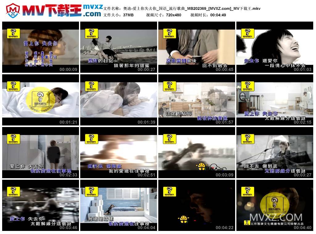 奥迪-爱上你失去你_国语_流行歌曲_MB202369